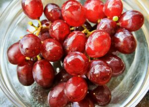 winogrono