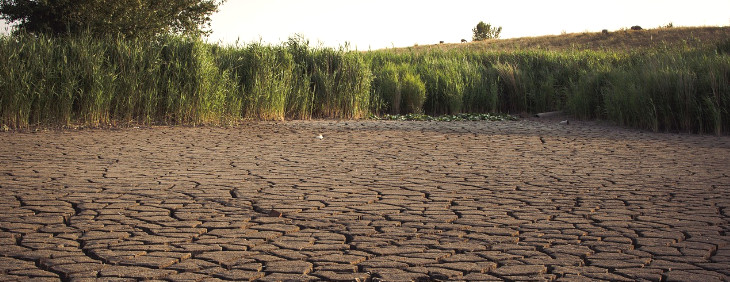 woda-a-zmiany-klimatyczne